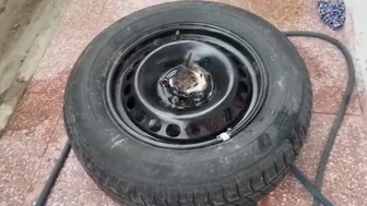 Stepneye sıkışan yavru kediyi itfaiye kurtardı