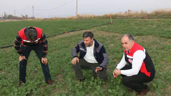 Kanola, Hayvancılık ve Mısır Hasadı İncelendi
