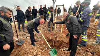 Yeni Ormanda İlk Ağaçlar Toprakla Buluştu