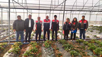 Organik Tarım İçin Sahadalar