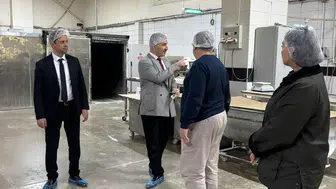 Çorum Tam Buğdayda Pilot İl Oldu