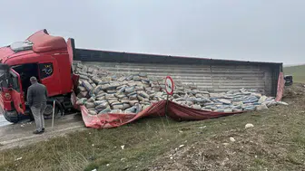 Tır Dorsesi Üzerlerine Devrildi!