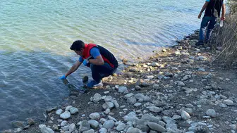 Balık Ölümleri İncelemede
