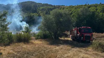 Kastamonu'da çıkan orman yangını söndürüldü