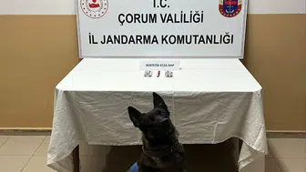 Jandarma, Her Yeri Didik Didik Aradı