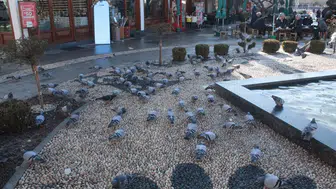 Çorum’un Kalbinde Kanat Sesleri