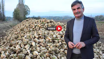 ‘Çiftçi Kazanmıyor’ Diyenleri Topa Tuttu