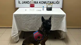 Jandarma Kapıyı Çalınca Ortaya Çıktı