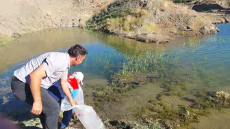 Gölet ve Barajlar Yavru Balıklarla Buluşturuluyor