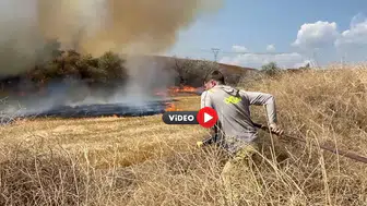 Ağaçlık Alanda Yangın Paniği