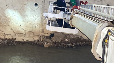 Gümüşhane'de Harşit Çayı'nda mahsur kalan 2 kedi kurtarıldı