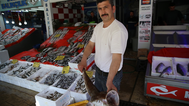 Karadeniz'de avlanan fener balığının kilogramı 500 liradan satışa sunuldu