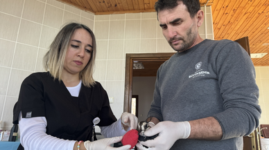 Samsun'da kanadı kırılan kız kuşuna özenli tedavi