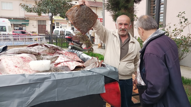 Sinop'ta kaçak avlanan 200 kalkan balığı vatandaşlara dağıtıldı