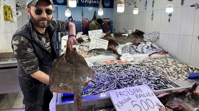Sinop'ta tezgahlar bol miktarda avlanan kalkan balığıyla süslendi