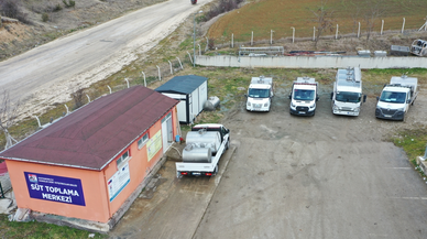 TKDK desteği ve soğuk zincir projesi sayesinde Kastamonu'da süt üretimi arttı