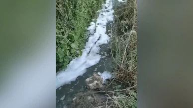 ‘Bu Görüntüler İçimizi Acıtıyor, Derinçay'ı Kurtarın’