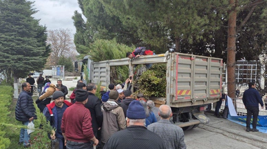 Kargı’da Vatandaşlara Fidan Dağıtıldı