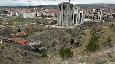 Lavanta Tepesi Projesi Hayata Geçiyor
