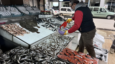 Balıkçı kenti Sinop'ta av sezonu bereketli kapanıyor