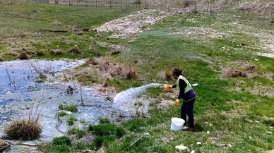 Bayburt'ta karasinek ve sivrisinekle mücadeleye başlandı