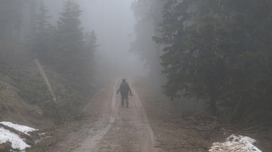 Ilgaz Dağı'nda sis etkili oldu