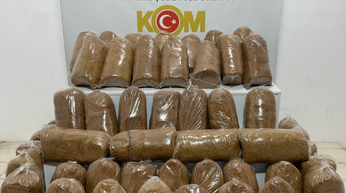 Samsun'da 240 kilogram kaçak tütün ele geçirildi