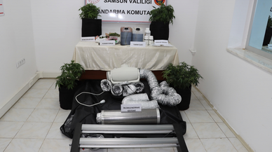 Samsun'da evinde iklimlendirme sistemiyle kenevir yetiştiren şüpheli yakalandı