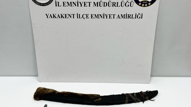 Samsun'dan kısa kısa