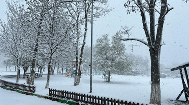 Samsun'un ilçelerinde kar yağışı etkili oldu