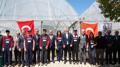 Okul Bahçesine Sera Kuruldu, Kuşkonmaz Yetiştirilecek