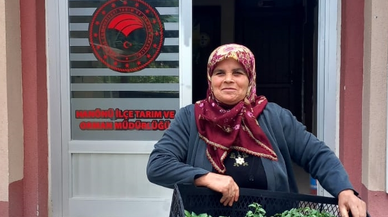 Hanönü'de 25 bin fide dağıtıldı