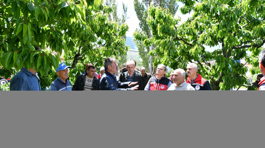 Tokat'ta yaşanan zirai don sonrası toplantı yapıldı