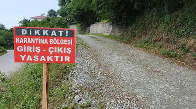 Sungurlu’daki Köyde Şap Karantinası Başlatıldı