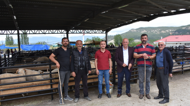Boyabat ilçesinde canlı hayvan pazarı açıldı