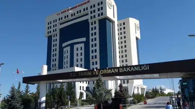 2024 YILI TAŞIT KİRALAMA