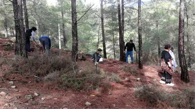 Istranca Ormanları'nda Mantar Bolluğu! Vatandaşlar Kilosunu 150 Liradan Satıyor