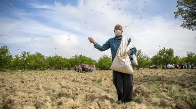 Tarımsal Girdi Fiyatları Ağustosta Yıllık Yüzde 41,33 Arttı