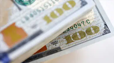 Türkiye’nin Yurt Dışı Varlıkları 305,1 Milyar Dolar Oldu