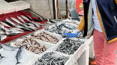 19 Mayıs'ta Balıkçılık Sektörü Denetlendi