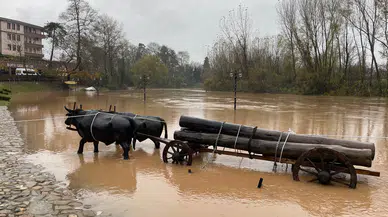 Bartın'da Sağanak ve Eriyen Kar Taşkına Neden Oldu