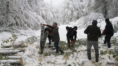 Bolu'da Yayla Yolunda Mahsur Kalan 4 Kişinin Yardımına Ormancılar Yetişti