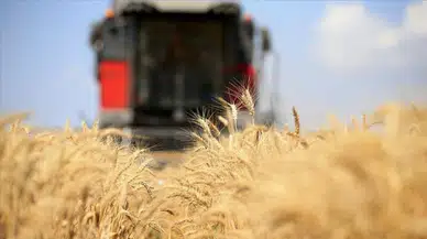 Fao: Küresel Gıda Fiyatları 30 Ayın En Düşük Seviyesine İndi