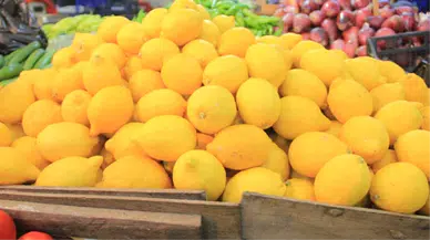Limonun Fiyatı Ekim Ayında Tarladan Markete Gelene Kadar Yüzde 683 Arttı