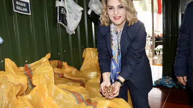 Migros Organik Tarımı Desteklemek İçin Trabzon'dan 10 Ton Organik Fındık Aldı