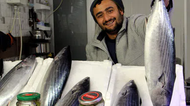 Sinop'ta Balık Tezgahlarında Torik Bolluğu Yaşanıyor