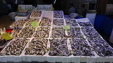 Tezgahlarda Hamsi Bolluğu Yaşanıyor: Fiyatlar 50 TL Seviyesinde