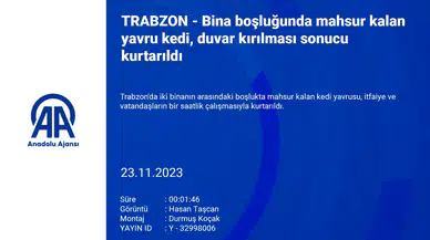 Trabzon'da Bina Boşluğunda Mahsur Kalan Kedi Yavrusu, Duvar Kırılarak Kurtarıldı
