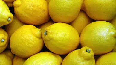TZOB: Üretici ile Market Arasındaki Fiyat Farkı En Fazla Yüzde 683 ile Limonda