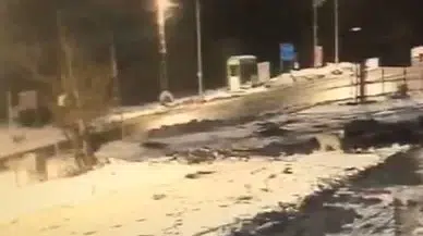 Aç Kalan Kurtlar Köpeğe Saldırdı